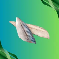 Mackerel Fillet