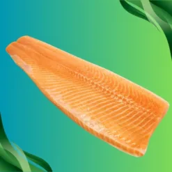 Atlantic Salmon Fillet