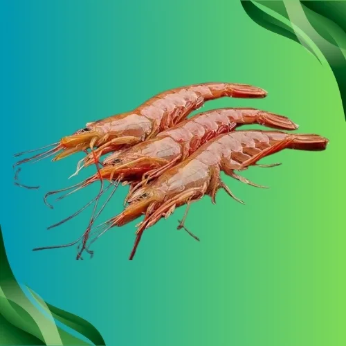 Wild-Caught Shrimp